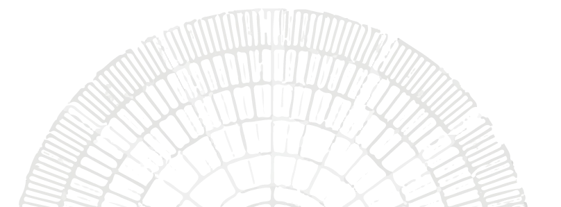 Patroon Systemagisch