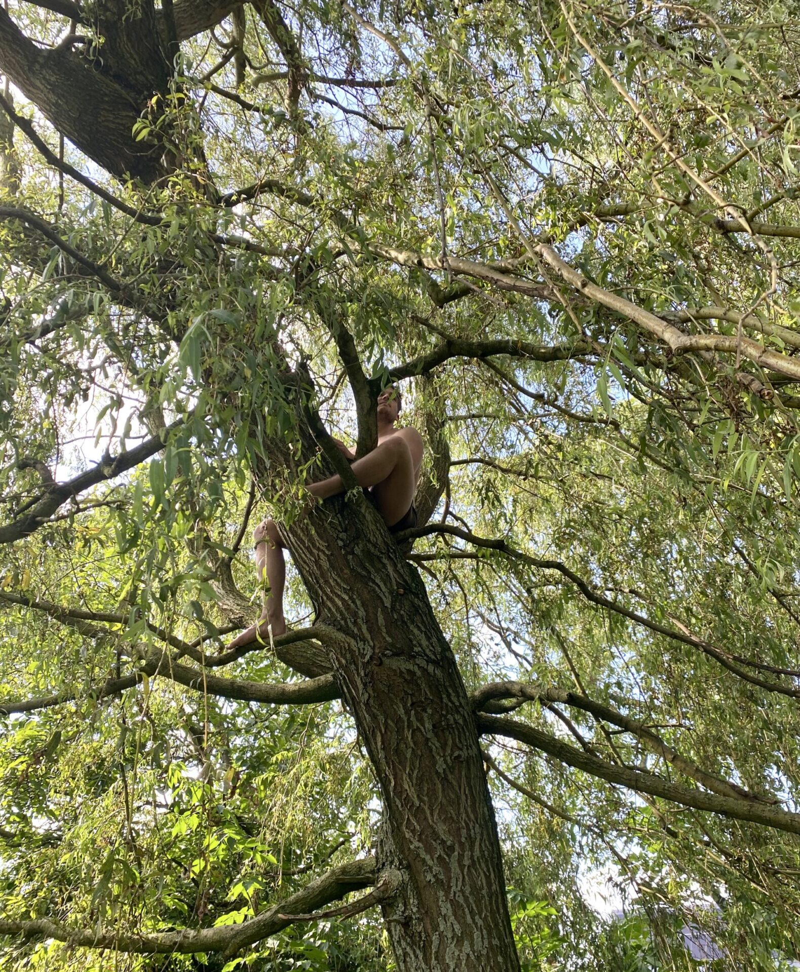 kind in de boom